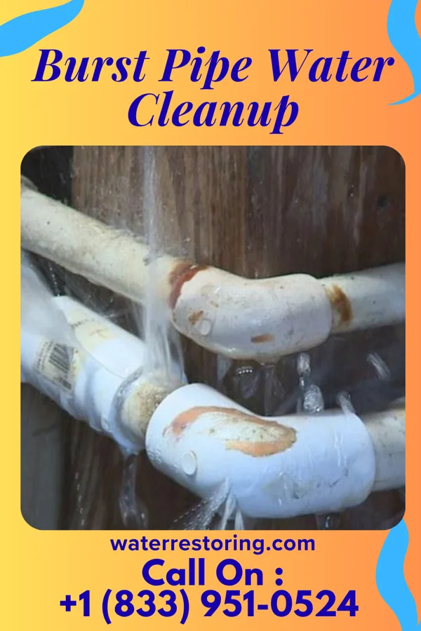 Burst Pipe Water Cleanup in Tucker, MS