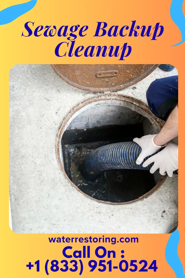 Sewage Backup Cleanup in Tucker, MS